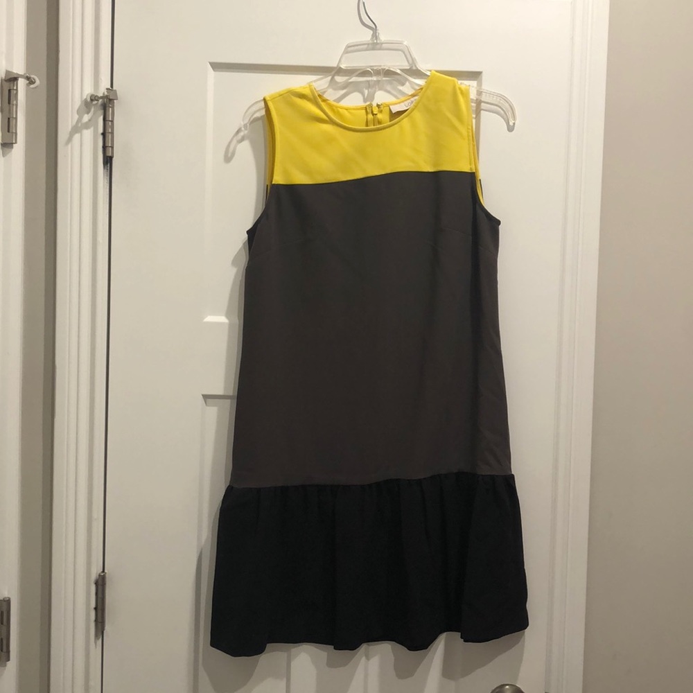 NWT Loft Colorblock Dress